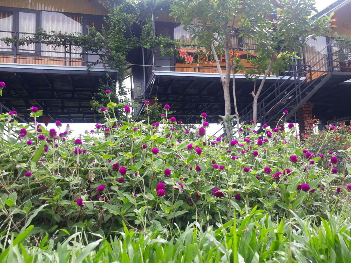 Phong Nha Bolero Bungalow Exterior photo